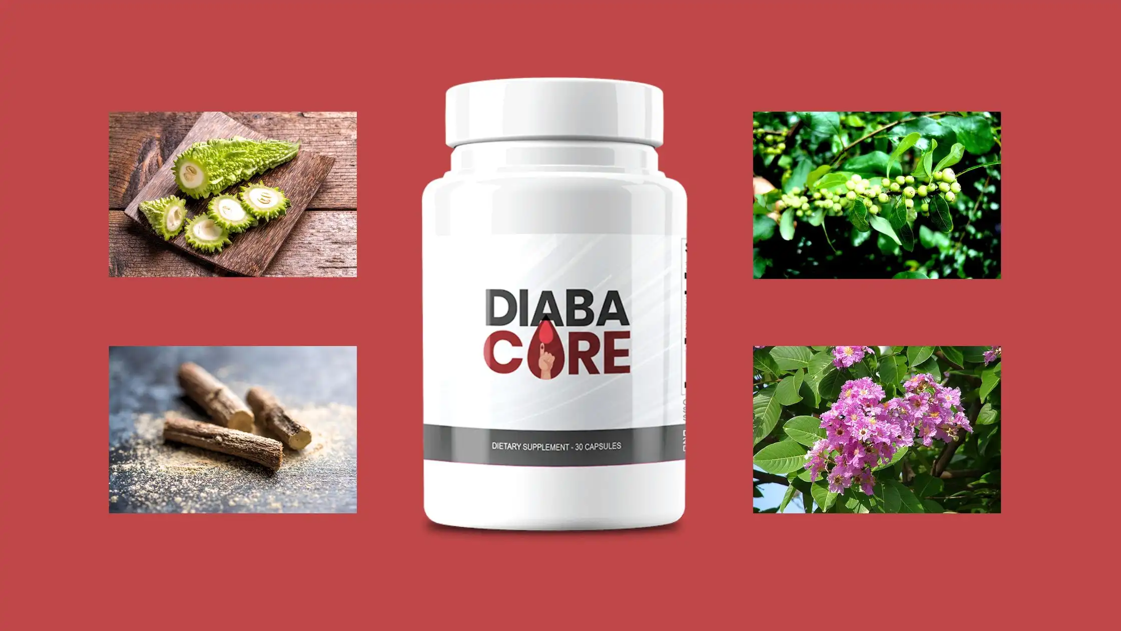 Key Ingredients in Diabacore