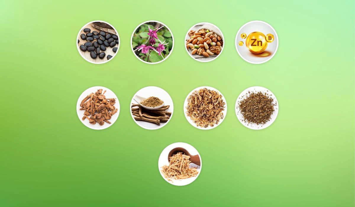 Quietum Plus Ingredients